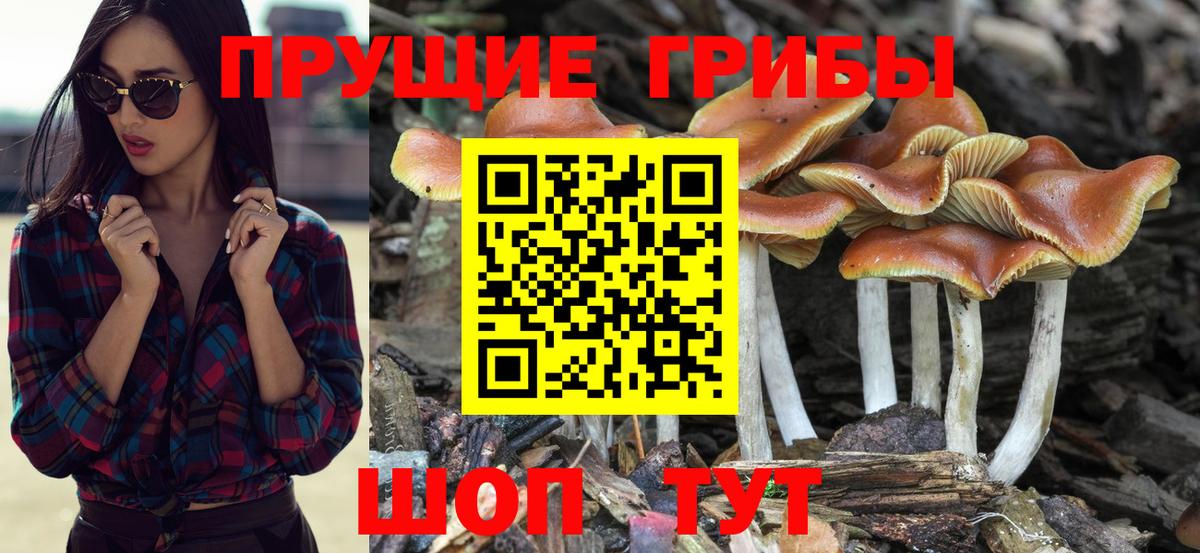Псилоцибиновые грибы прущие грибы Богородицк